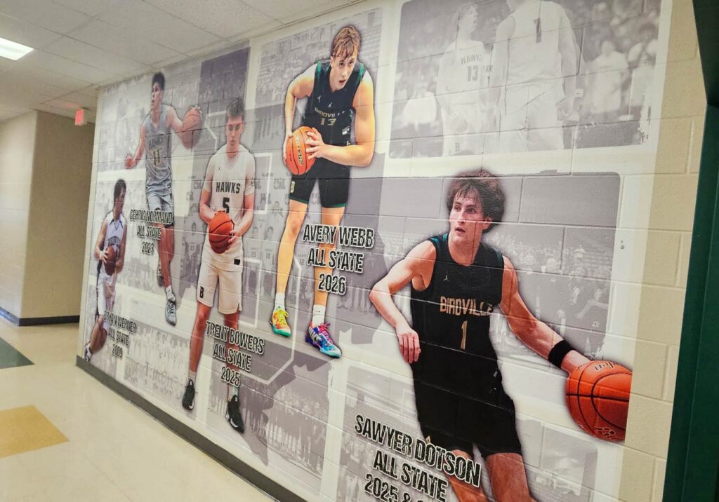 birdville wall wrap