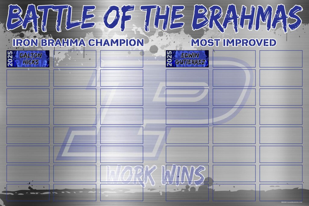 pewitt iron brahma board 4x6 copy